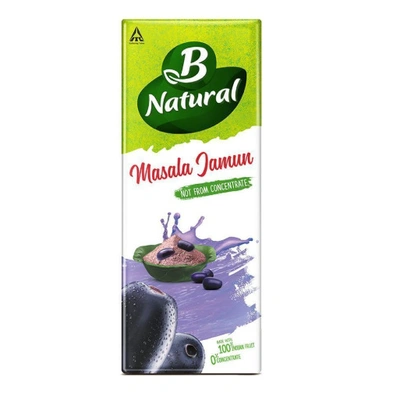 B Naturals B Natural Juice Masala Jamun