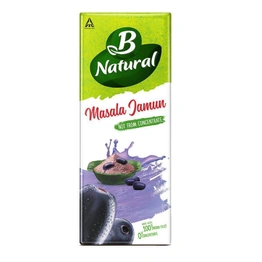 B Natural Juice Masala Jamun