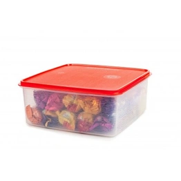 Signoraware Square Plastic Container, 11 Litres/210mm