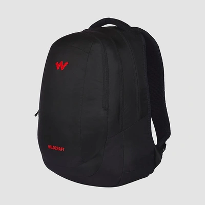 Peza Laptop Backpack With Internal Organizer _ Black