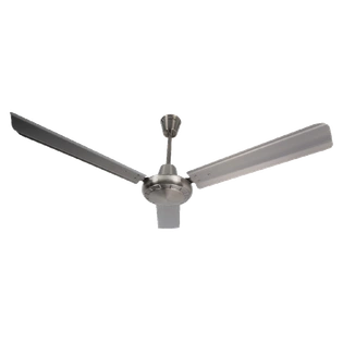 Coastal Ceiling Fans