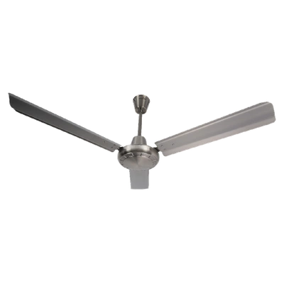 Coastal Ceiling Fans