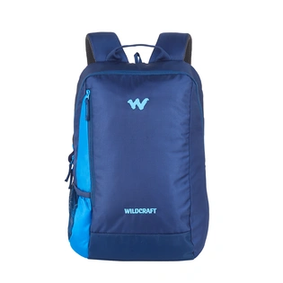 Streak Laptop Backpack With Internal Organizer _ Blue-1