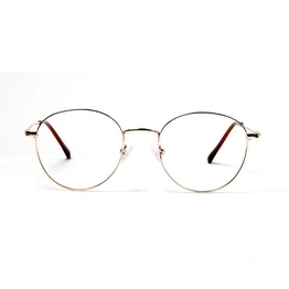 GRAVIATE by Coolwinks E25B5705 Glossy Gold Full Frame Round Eyeglasses for Men and Women