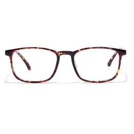 GRAVIATE by Coolwinks E18B7351 Glossy Tortoise Full Frame Retro Square Eyeglasses for Men and Women