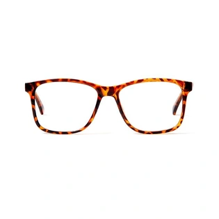 GRAVIATE by Coolwinks E18C5698 Glossy Tortoise Full Frame Retro Square Eyeglasses for Men and Women