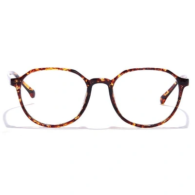 GRAVIATE by Coolwinks E18A7292 Glossy Tortoise Full Frame Round Eyeglasses for Men and Women