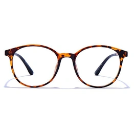 GRAVIATE by Coolwinks E18C6588 Glossy Tortoise Full Frame Round Eyeglasses for Men and Women