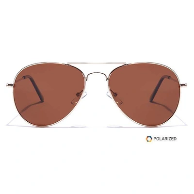 ELITE by Coolwinks S15B6523 Brown Polarized Pilot Sunglasses for Men and Women