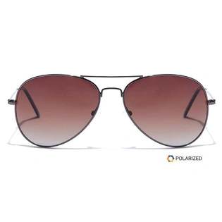 ELITE by Coolwinks S15C5621 Brown Polarized Pilot Sunglasses for Men and Women