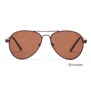 Elite by Coolwinks S15C6432 Brown Polarized Pilot Sunglasses for Men and Women