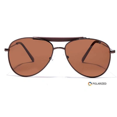 Elite by Coolwinks S15C6486 Brown Polarized Pilot Sunglasses for Men and Women