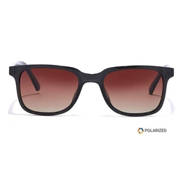 ELITE by Coolwinks S15A5565 Brown Polarized Retro Square Sunglasses for Men and Women