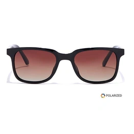 ELITE by Coolwinks S15B5565 Brown Polarized Retro Square Sunglasses for Men and Women