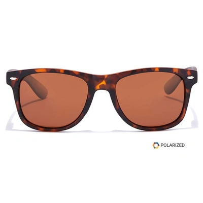 ELITE by Coolwinks S15C5469 Brown Polarized Retro Square Sunglasses for Men and Women