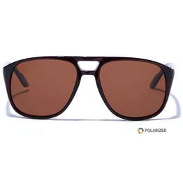 ELITE by Coolwinks S15C5493 Brown Polarized Retro Square Sunglasses for Men and Women