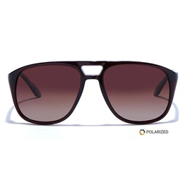 ELITE by Coolwinks S15C5500 Brown Polarized Retro Square Sunglasses for Men and Women