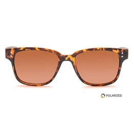 ELITE by Coolwinks S15C5523 Brown Polarized Retro Square Sunglasses for Men and Women