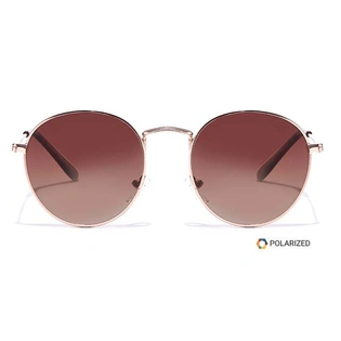 ELITE by Coolwinks S15B5448 Brown Polarized Round Sunglasses for Men and Women