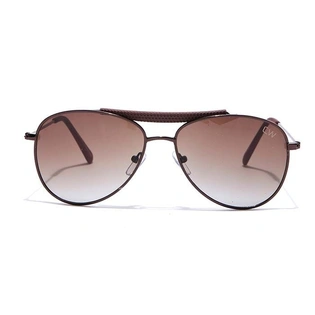 Elite by Coolwinks S15C6439 Brown Tinted Pilot Sunglasses for Men and Women