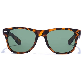 ELITE by Coolwinks S35C5328 Green Tinted Retro Square Sunglasses for Men and Women