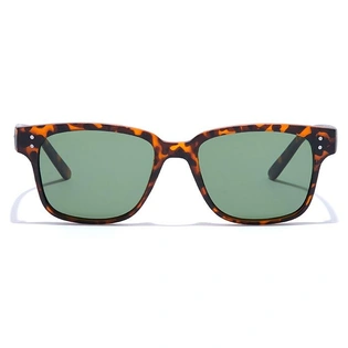 ELITE by Coolwinks S35C5349 Green Tinted Retro Square Sunglasses for Men and Women