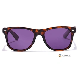 ELITE by Coolwinks S17C5472 Purple Polarized Retro Square Sunglasses for Women