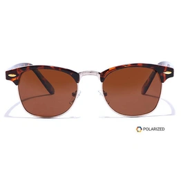 ELITE by Coolwinks S15C5600 Brown Polarized Clubmaster Sunglasses for Men and Women