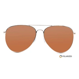 ELITE by Coolwinks S15A5544 Brown Polarized Pilot Sunglasses for Men and Women