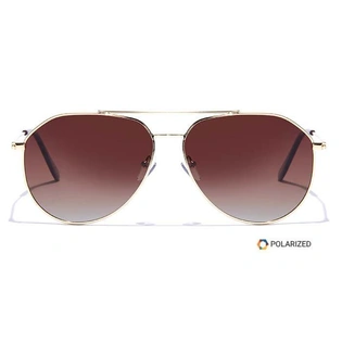 ELITE by Coolwinks S15A5579 Brown Polarized Pilot Sunglasses for Men and Women