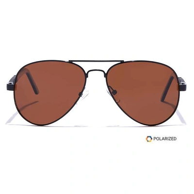 ELITE by Coolwinks S15A5586 Brown Polarized Pilot Sunglasses for Men and Women