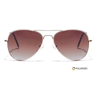 ELITE by Coolwinks S15A5621 Brown Polarized Pilot Sunglasses for Men and Women