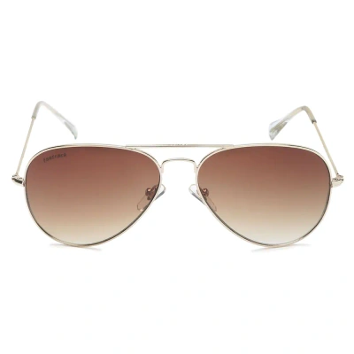 Pilot Shiny Brown Gradient Sunglasses for Guys