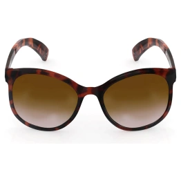 Oval Shiny Brown UV protected Sunglasses for Female