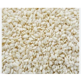 Sesame Seeds