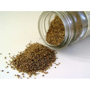 Thymol Seeds