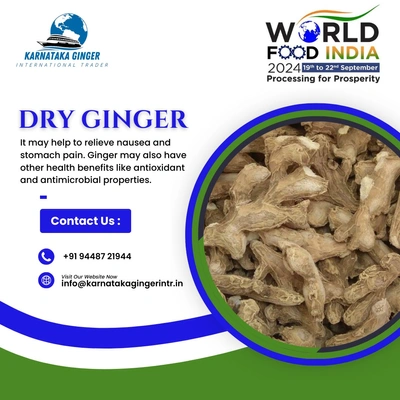 Dry Ginger