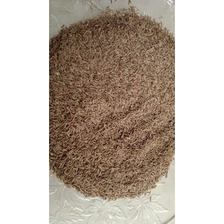 Royal Cumin Seeds