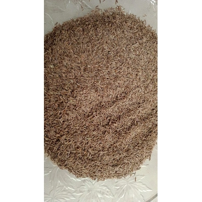 Royal Cumin Seeds