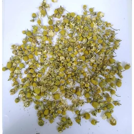 Egyptian- Chamomile Flowers