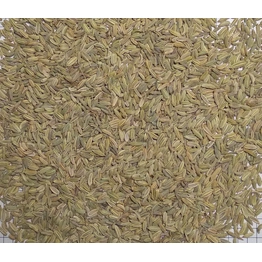 Egyptian Fennel Seeds