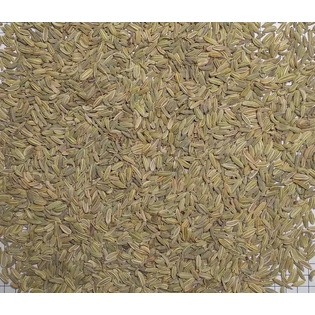 Egyptian Fennel Seeds