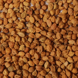 BENGAL GRAM, DESI CHICKPEA