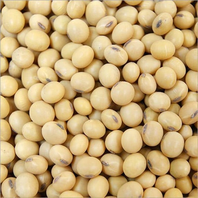 SOYABEAN