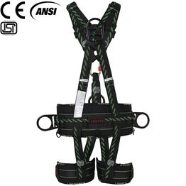 I SSAFE Full Body Safety Harness, ISF-100