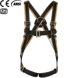 I SSAFE 44 mm Class LT Full Body Harness with Webbing Loop, ISF-20