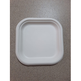 7" Square sugarcane bagasse Plate