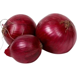 Red Garva Onion