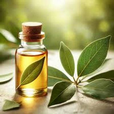 Bay Leaf Oil