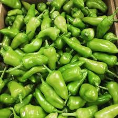 Bullet Green Chilli